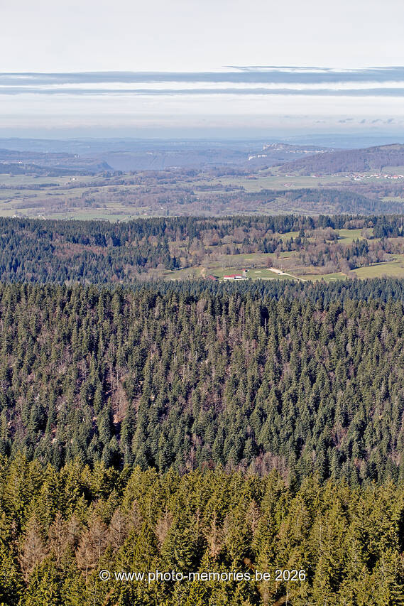 2021-11-07-0067.jpg