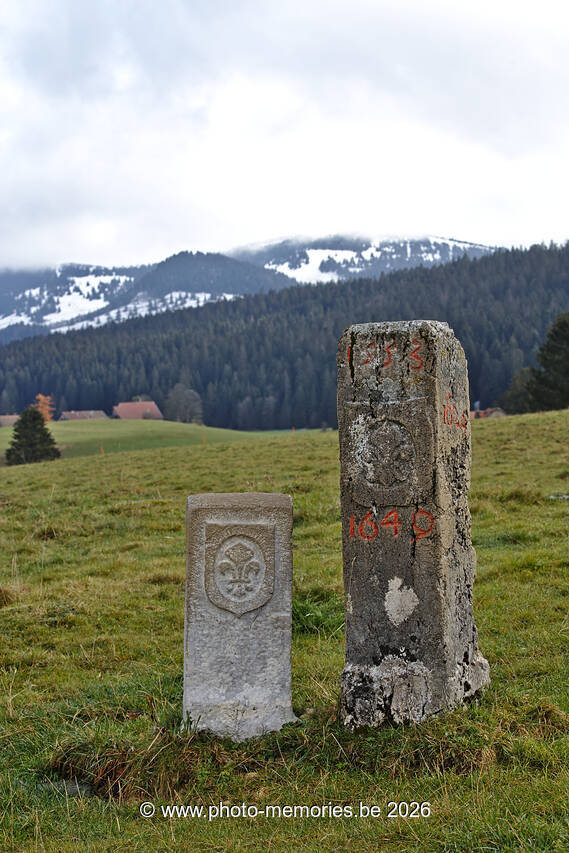 2021-11-08-0092.jpg