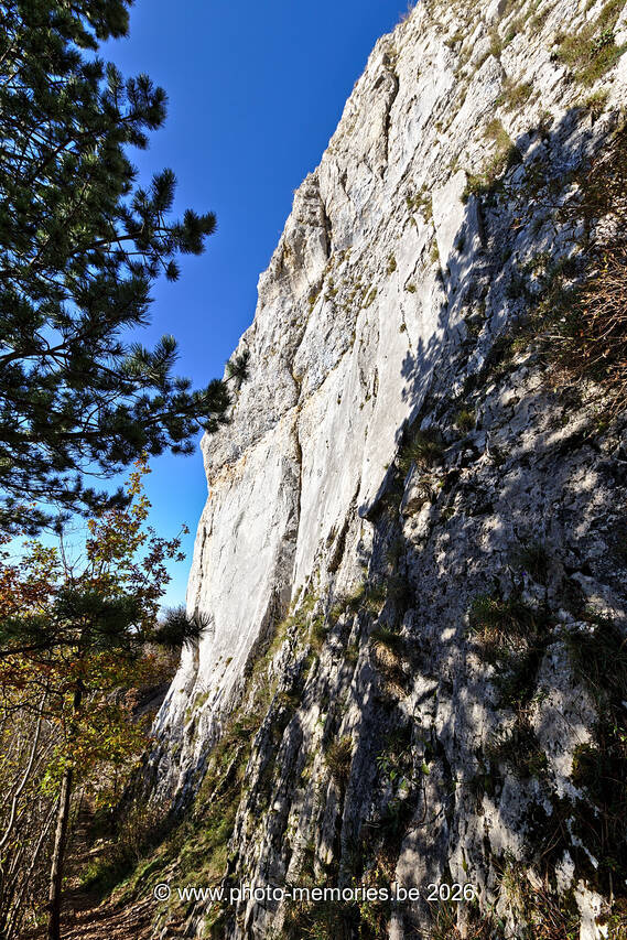 2021-11-09-0103.jpg