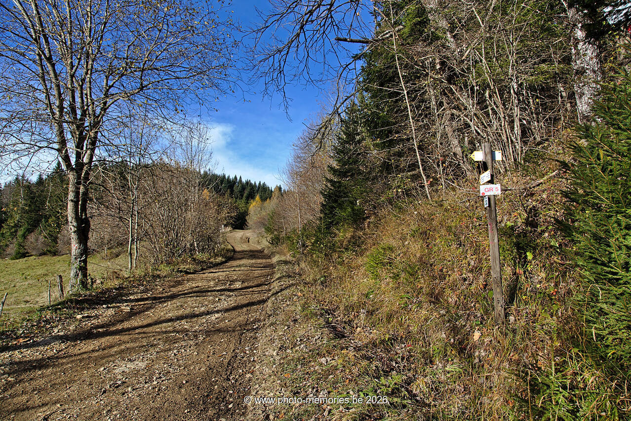 2021-11-10-0112.jpg
