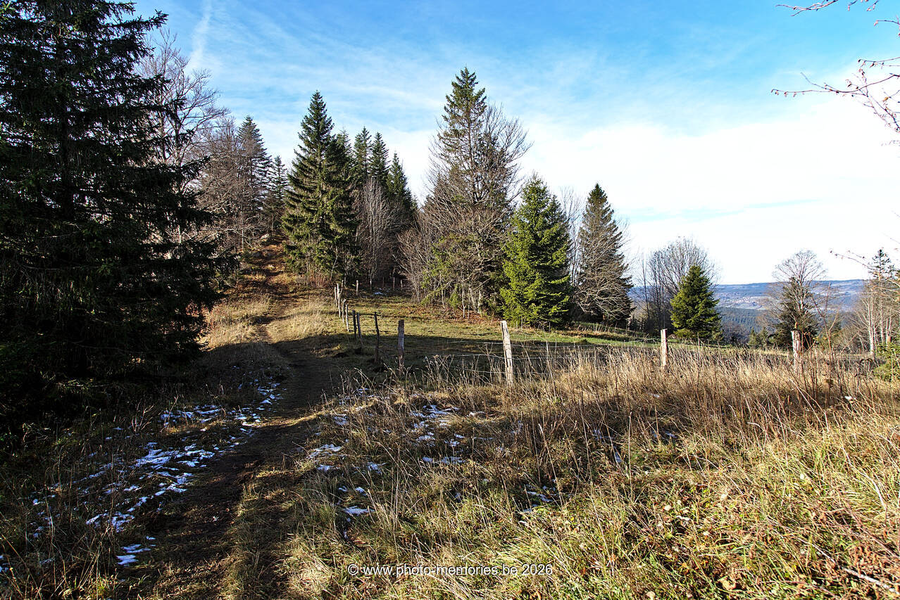 2021-11-10-0114.jpg