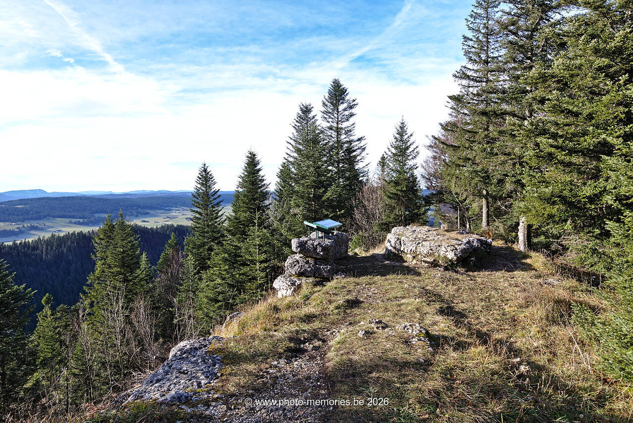 2021-11-10-0115.jpg