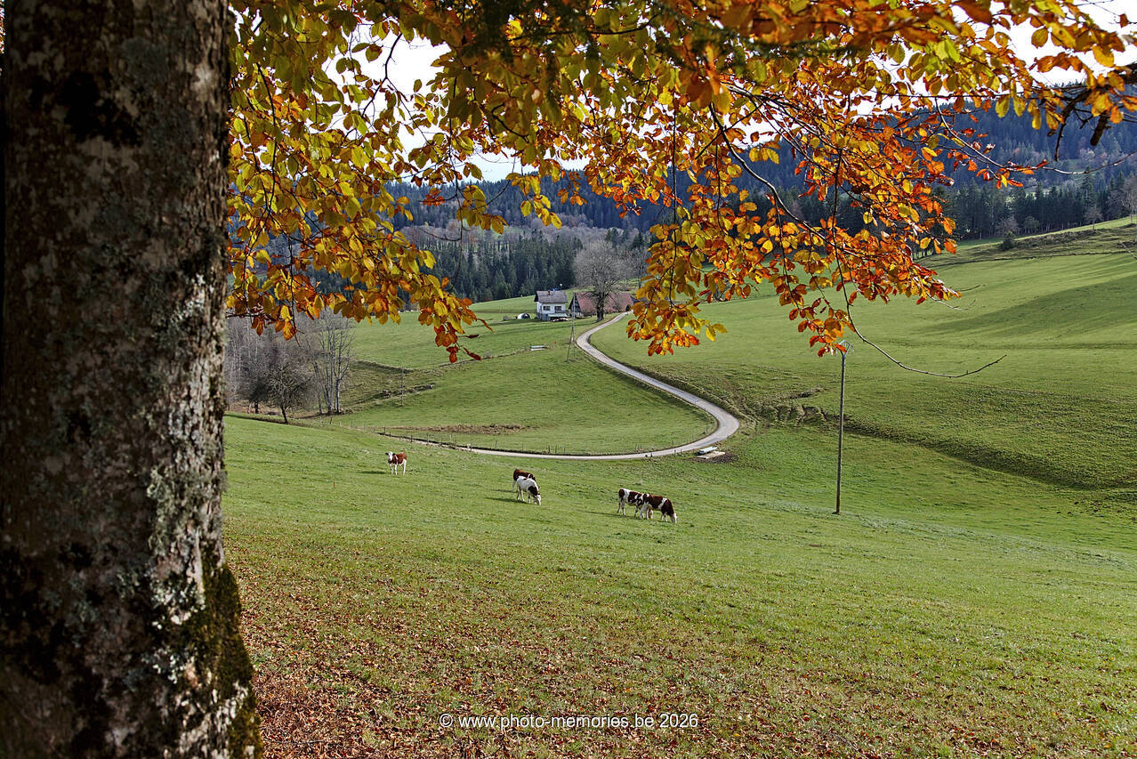2021-11-10-0124.jpg