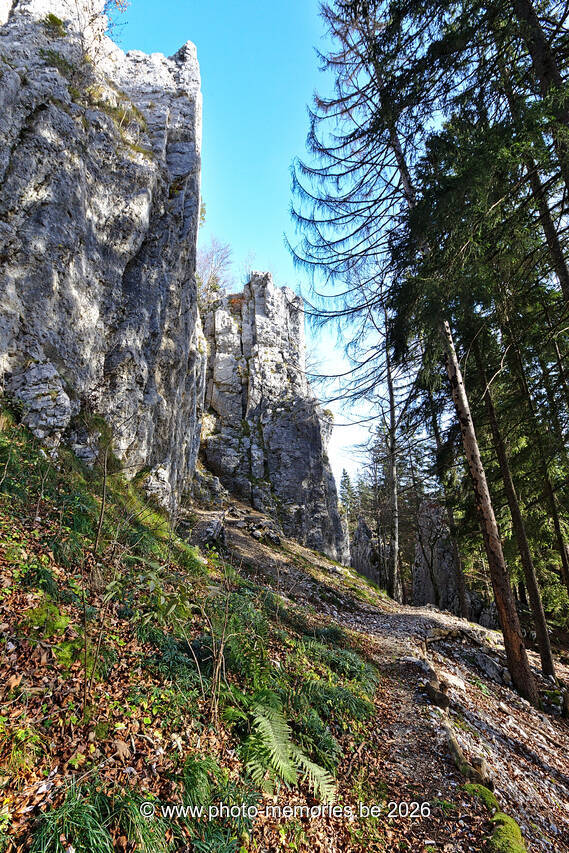 2021-11-12-0130.jpg