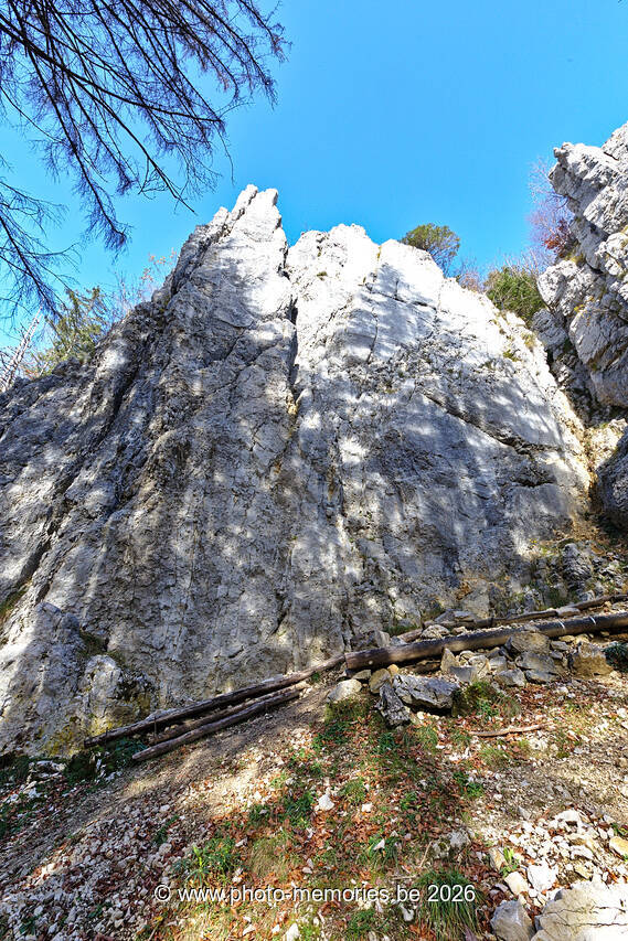 2021-11-12-0131.jpg