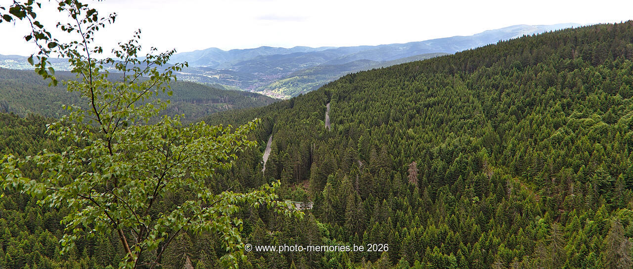 2022-05-27-0006.jpg