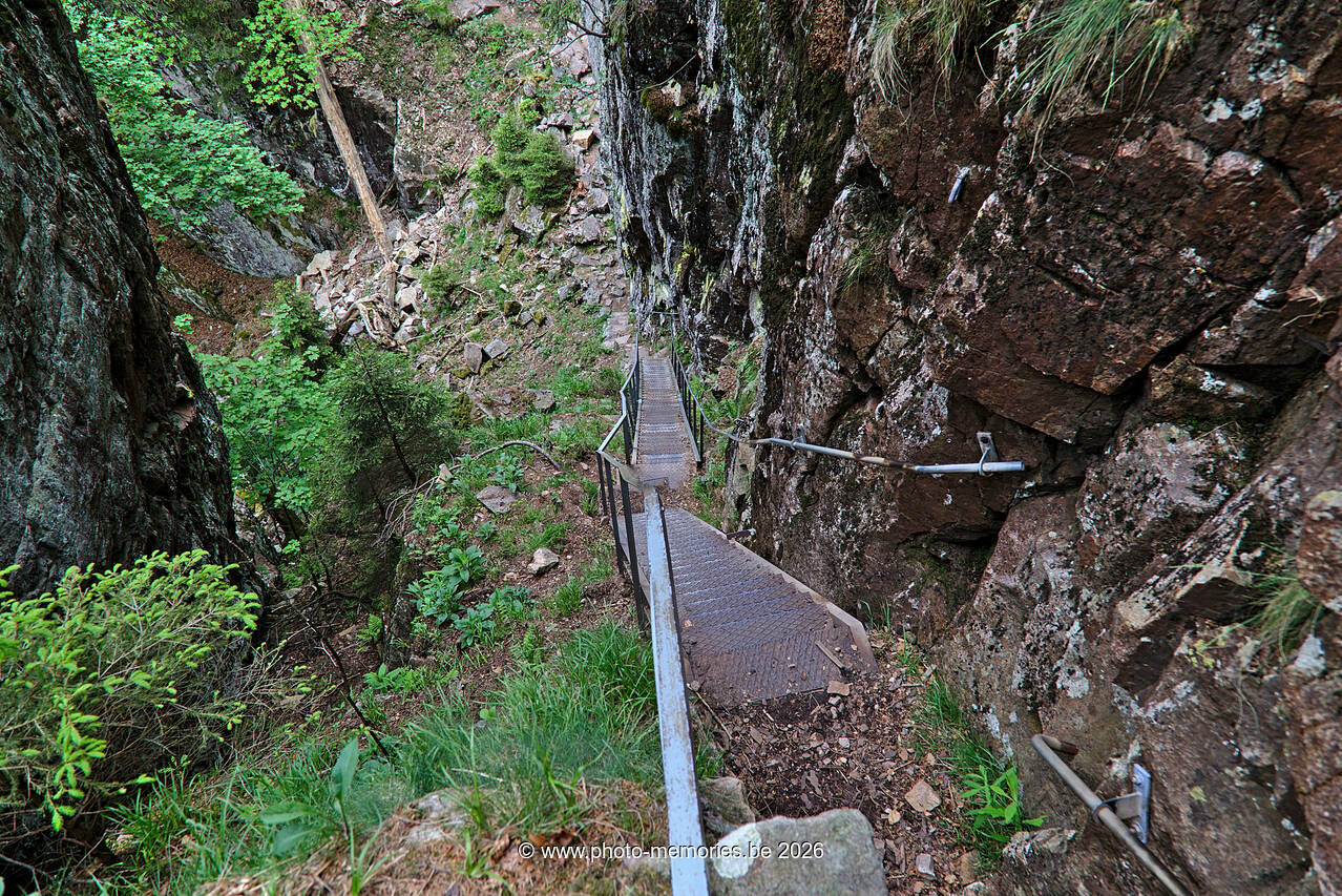 2022-05-27-0007.jpg