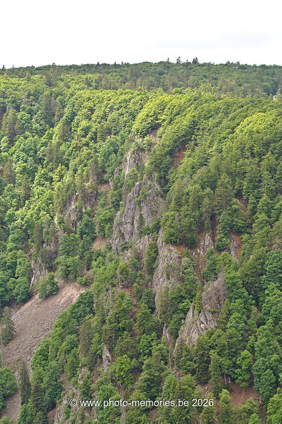 2022-05-27-0016.jpg