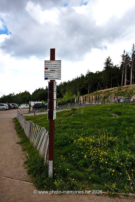 2022-05-29-0050.jpg