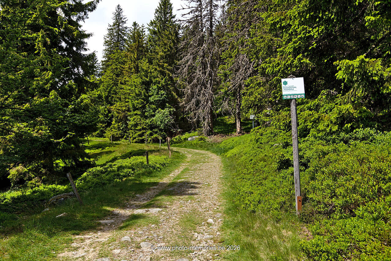 2022-05-29-0062.jpg