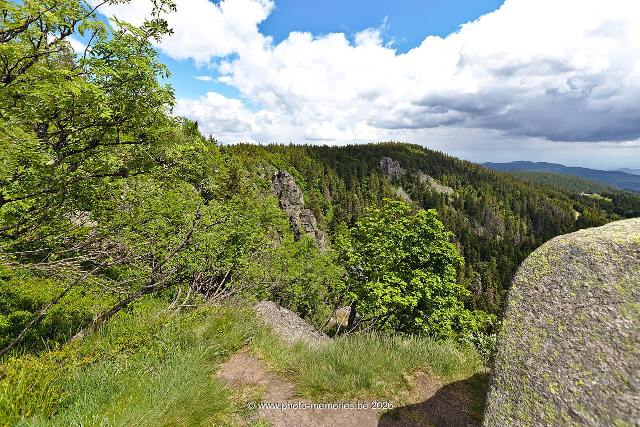 2022-05-29-0067.jpg