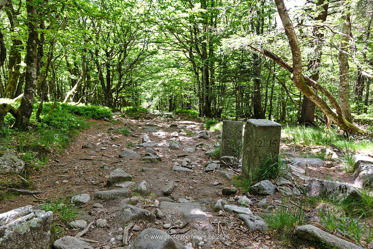 2022-05-29-0069.jpg