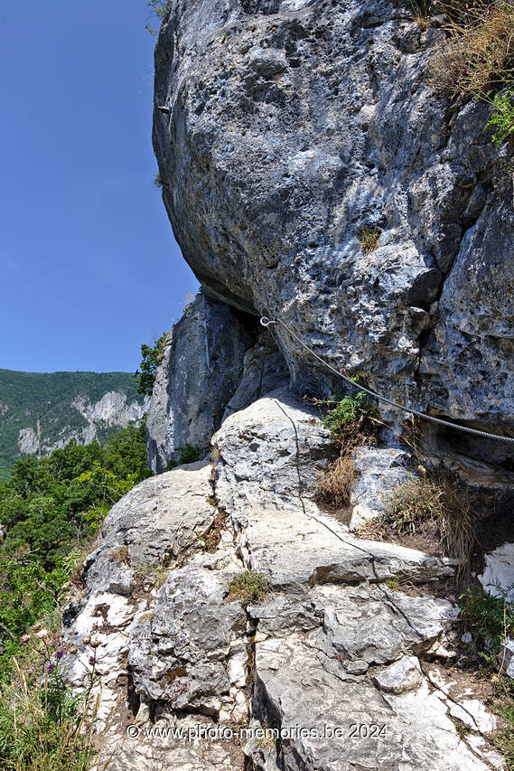 2022-06-18-0009.jpg