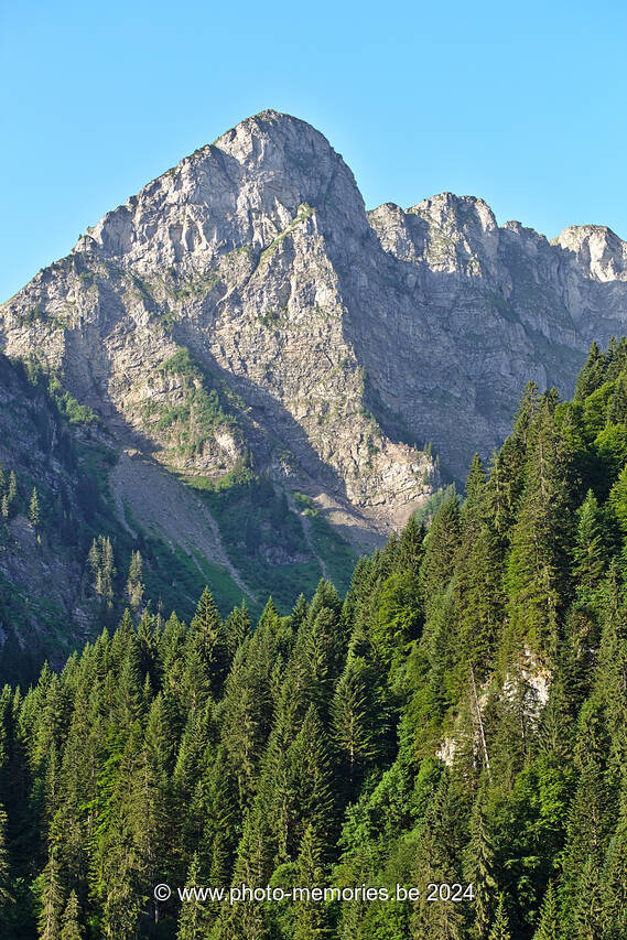 2022-06-19-0019.jpg