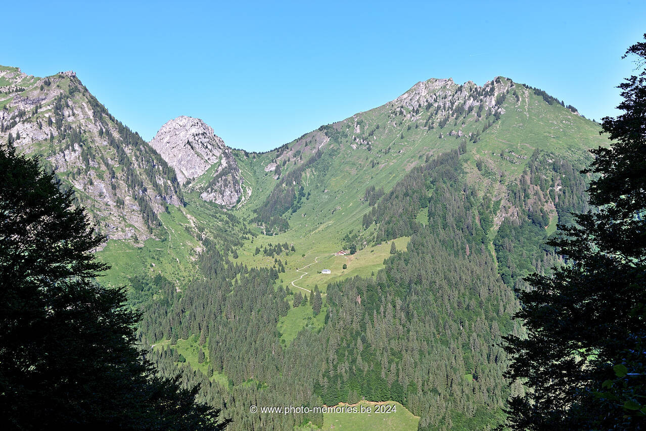 2022-06-19-0025.jpg