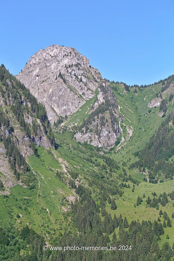 2022-06-19-0026.jpg