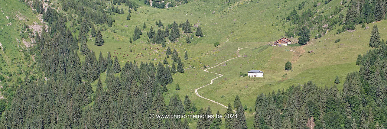2022-06-19-0027.jpg