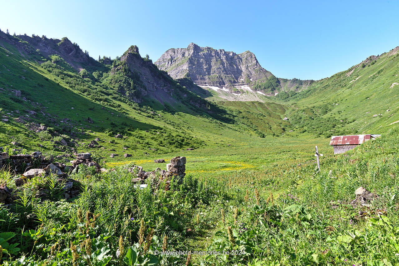 2022-06-19-0029.jpg