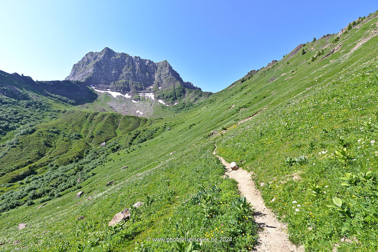 2022-06-19-0036.jpg