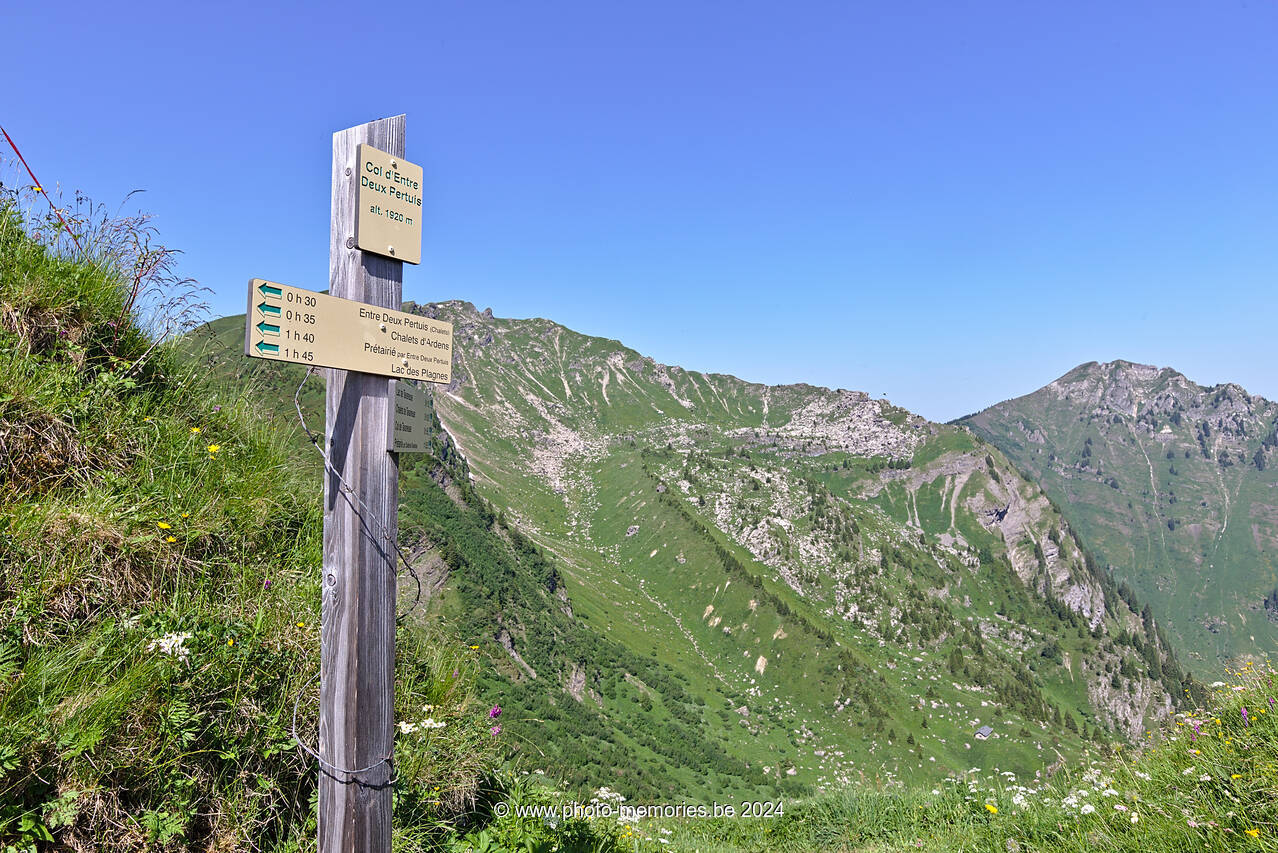 2022-06-19-0040.jpg