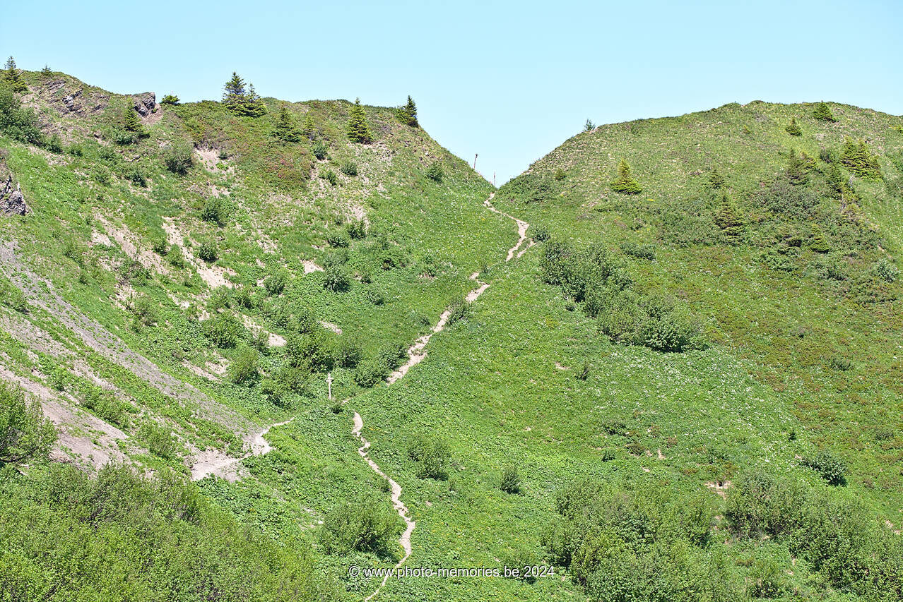 2022-06-19-0045.jpg