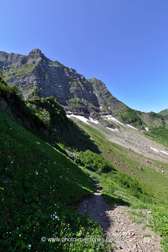 2022-06-19-0047.jpg