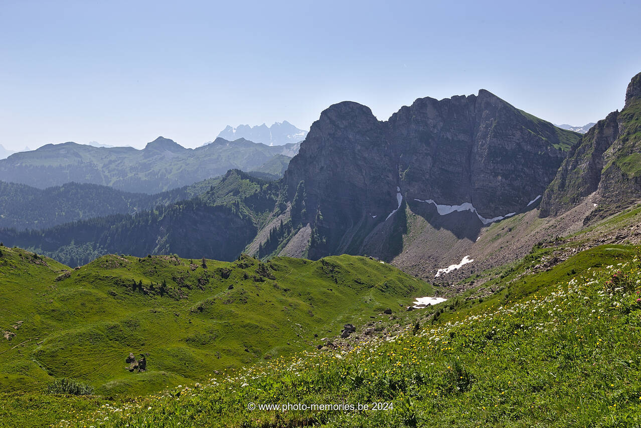 2022-06-19-0051.jpg