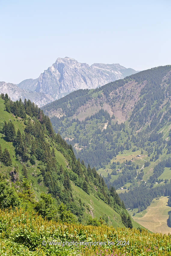 2022-06-19-0060.jpg