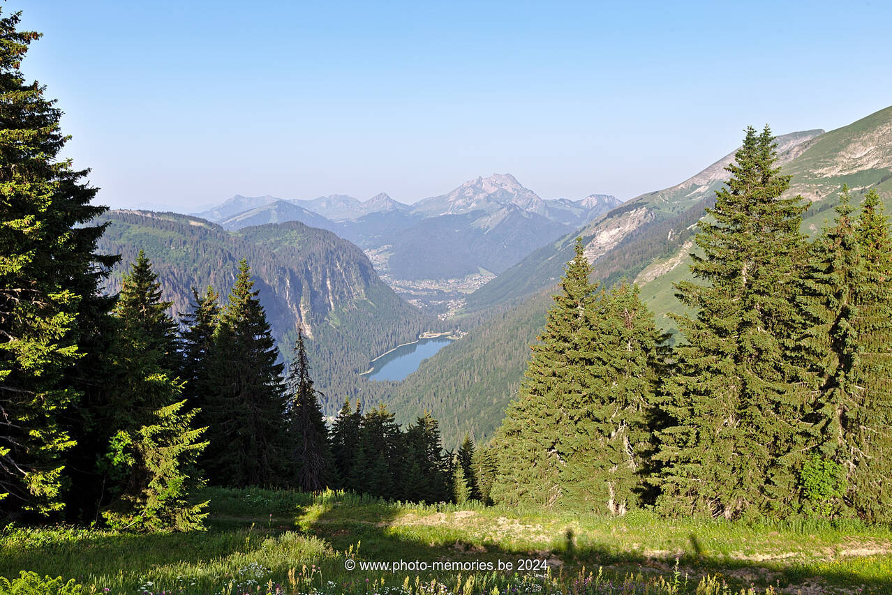2022-06-20-0071.jpg