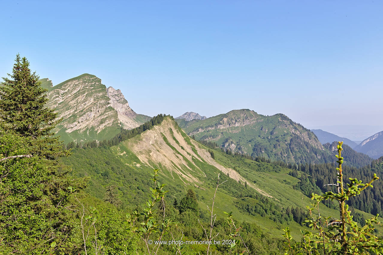 2022-06-20-0073.jpg