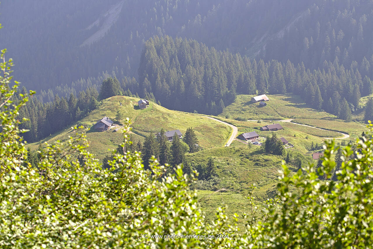 2022-06-20-0075.jpg