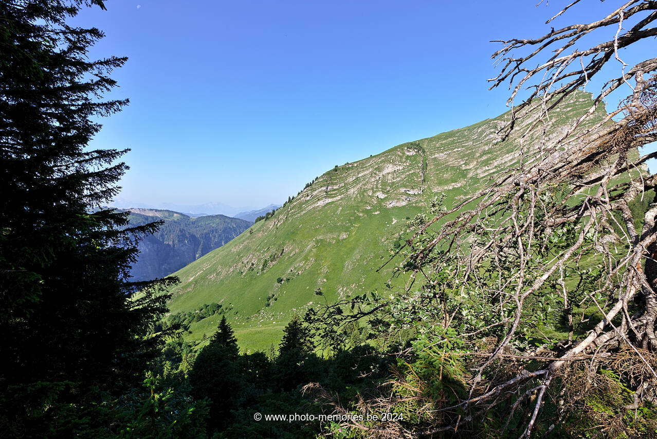 2022-06-20-0077.jpg