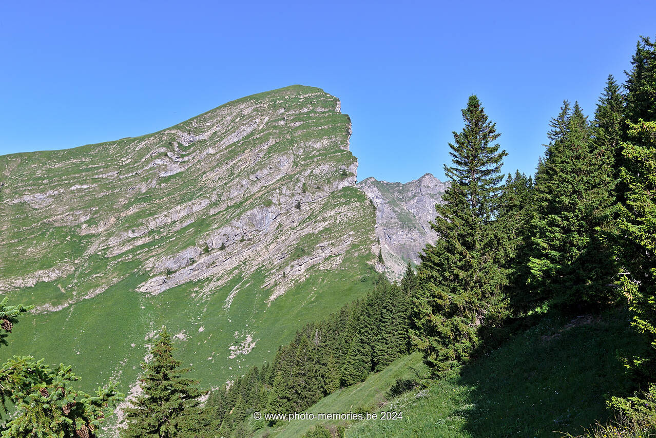 2022-06-20-0079.jpg