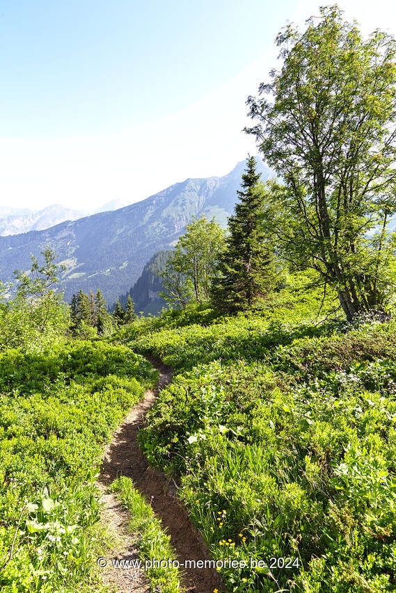 2022-06-20-0084.jpg