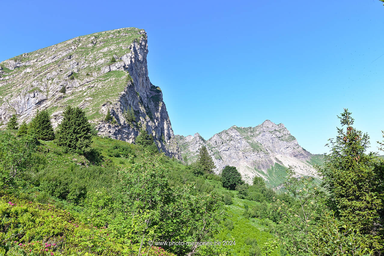 2022-06-20-0085.jpg