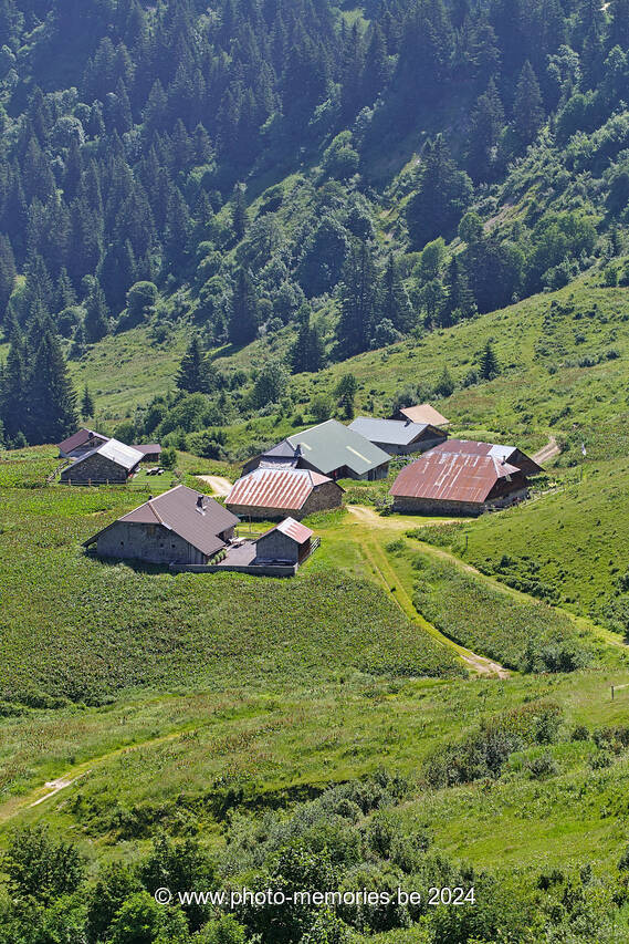 2022-06-20-0089.jpg