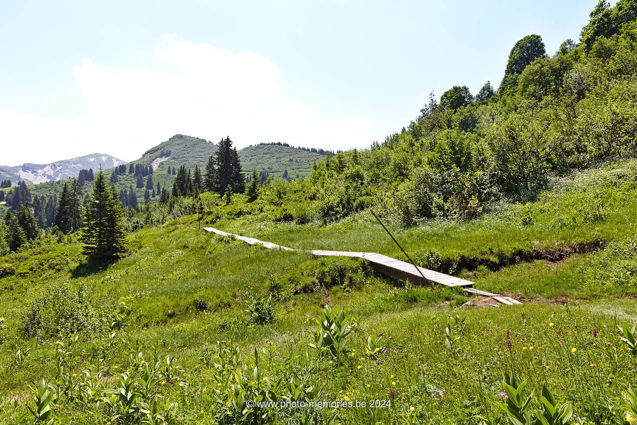 2022-06-20-0094.jpg