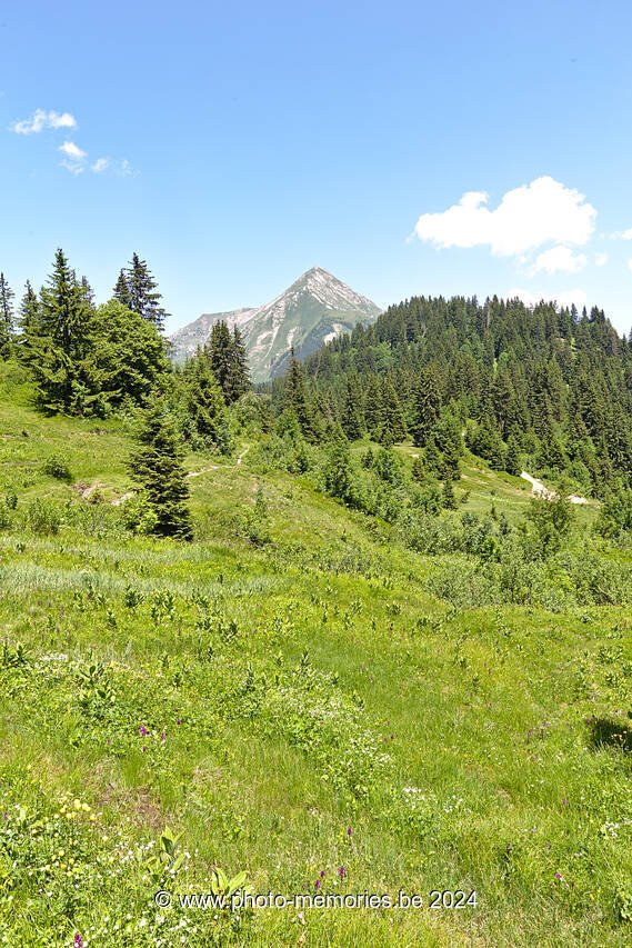 2022-06-20-0096.jpg
