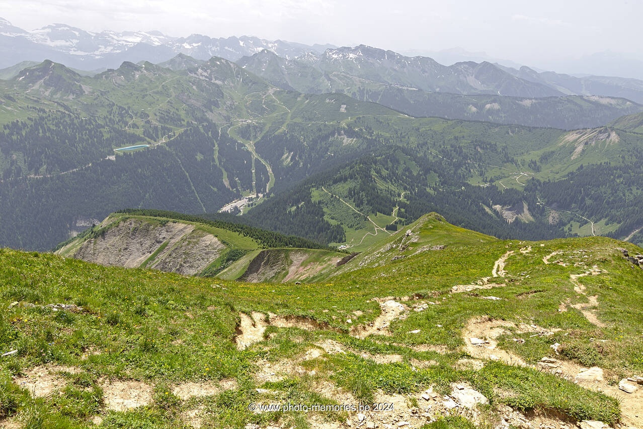 2022-06-21-0115.jpg