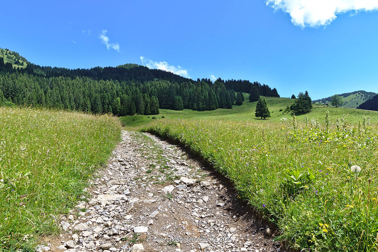 2022-06-23-0130.jpg