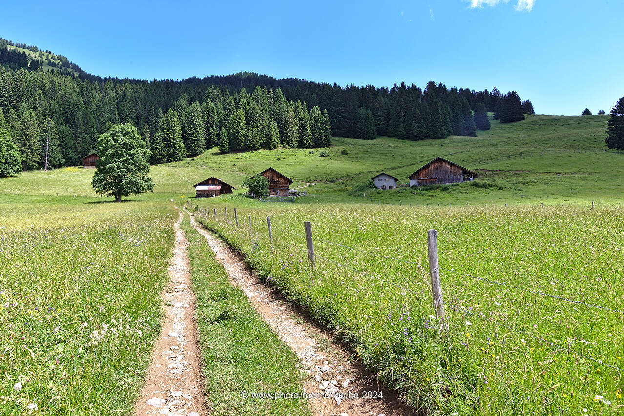 2022-06-23-0131.jpg