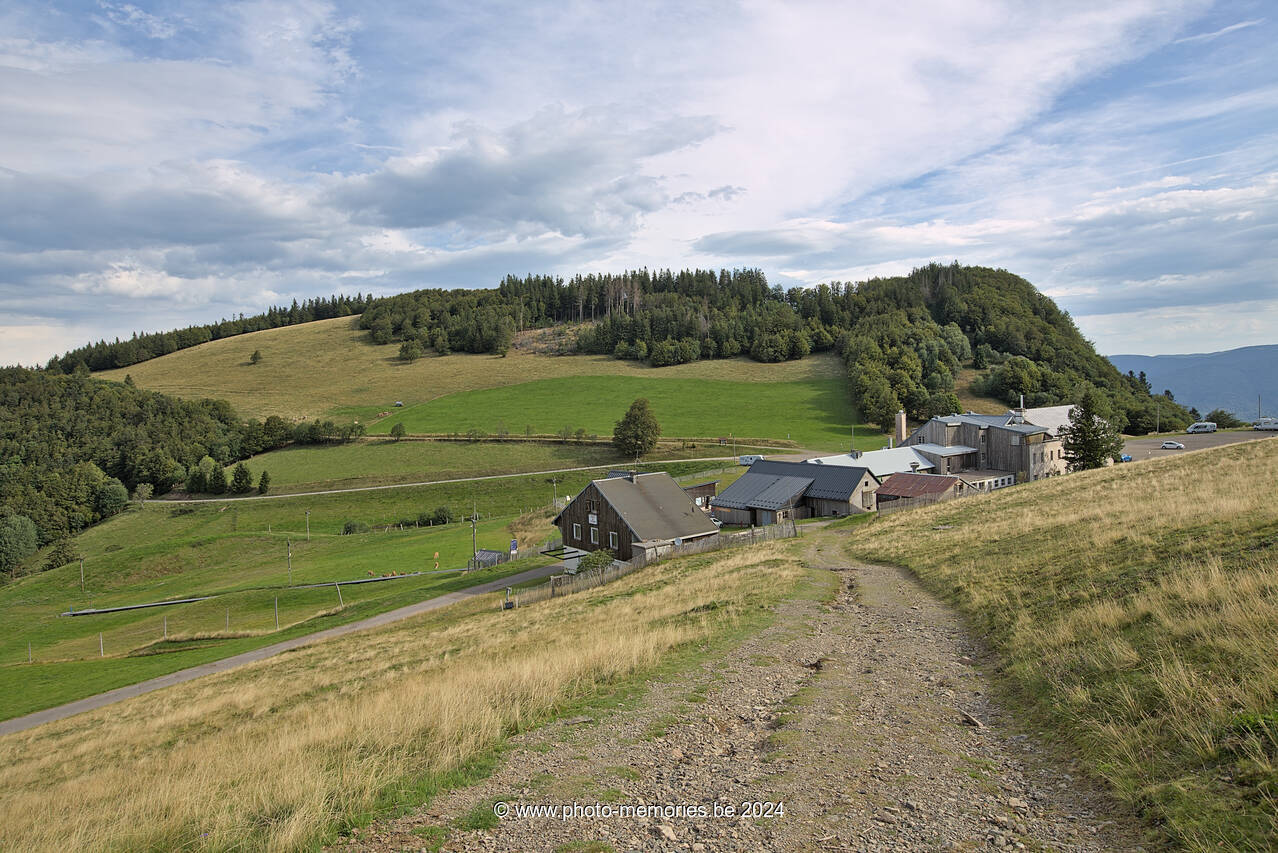 2023-08-15-0008.jpg