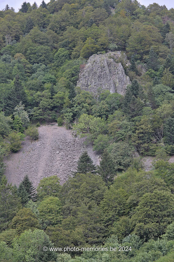 2023-08-15-0031.jpg