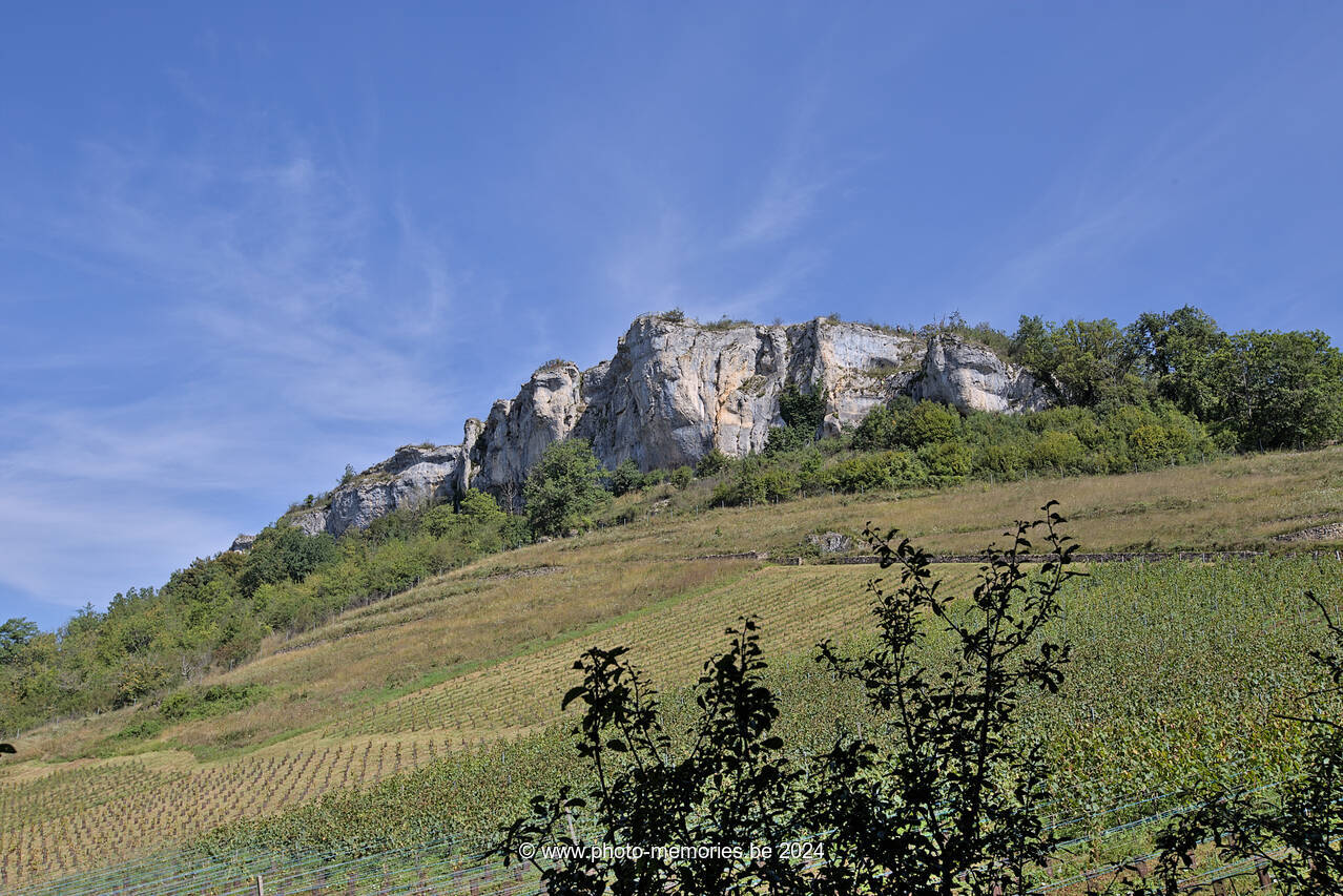2023-08-16-0033.jpg