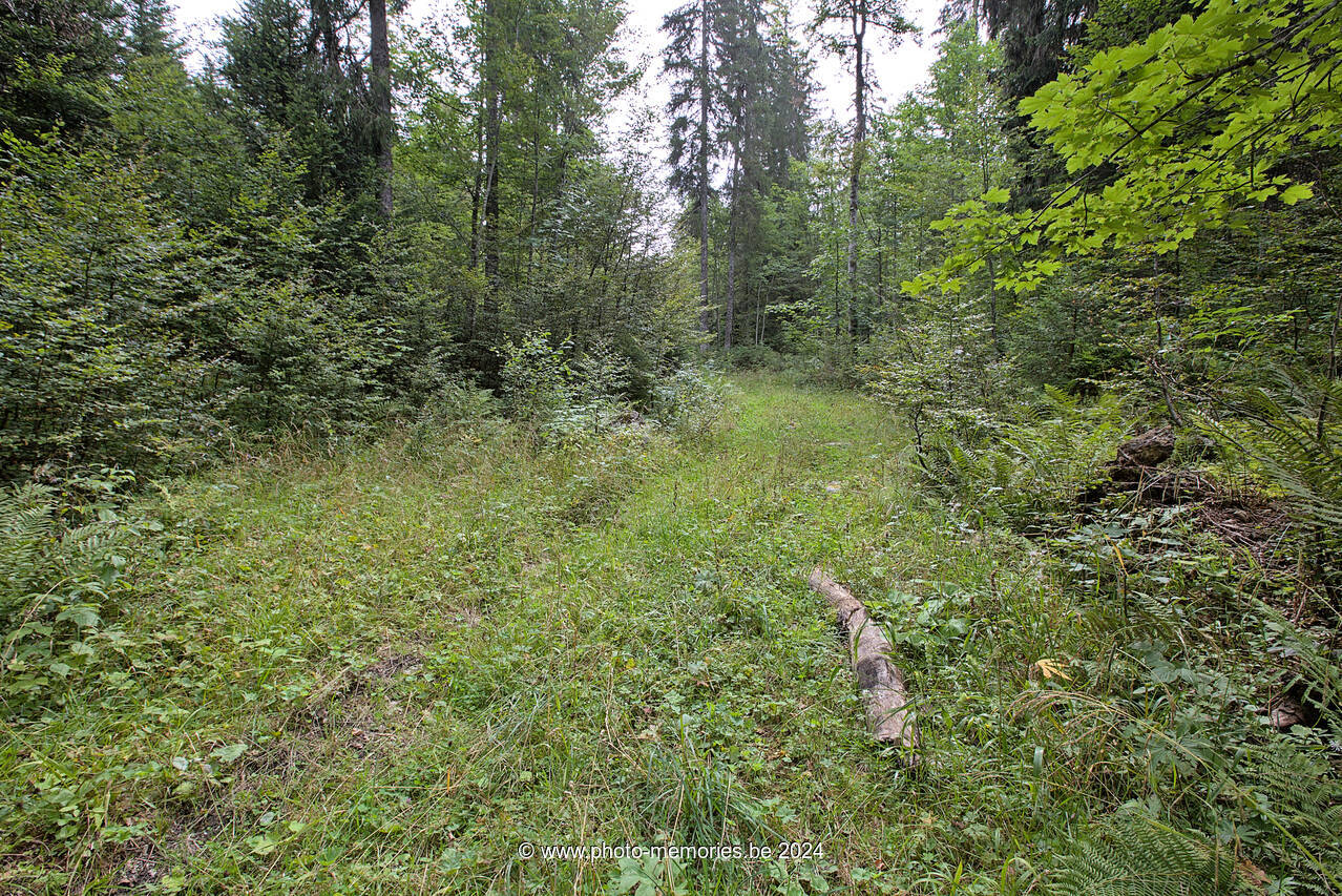 2023-08-17-0051.jpg