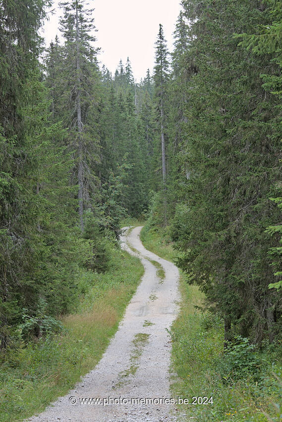 2023-08-17-0052.jpg
