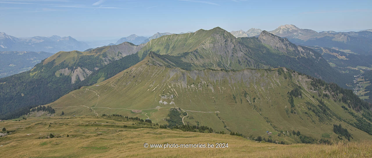 2023-08-19-0095.jpg
