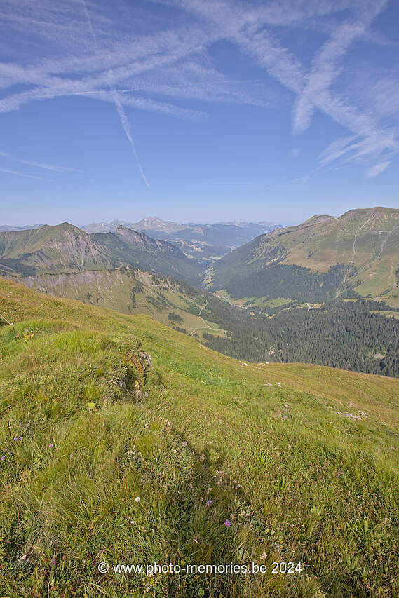 2023-08-19-0097.jpg