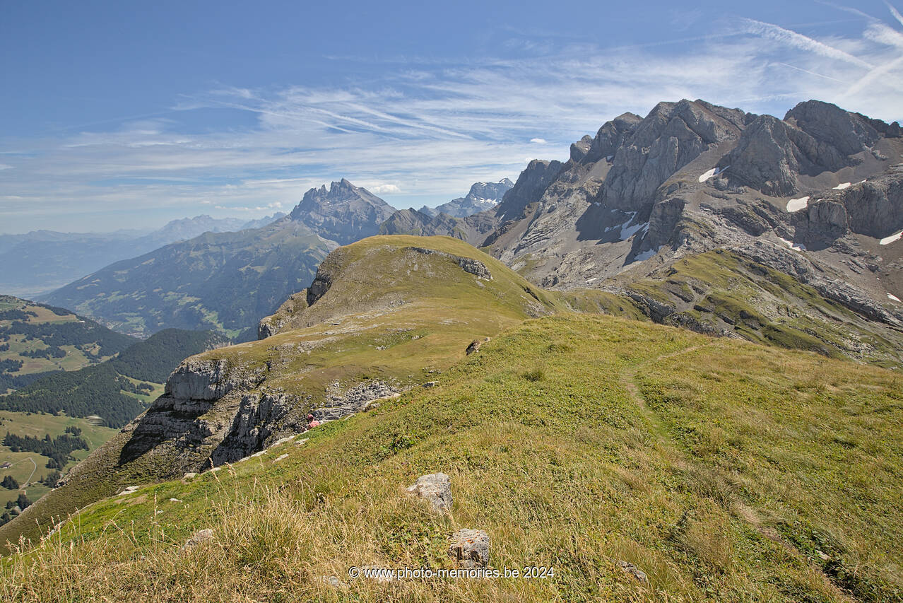 2023-08-19-0107.jpg