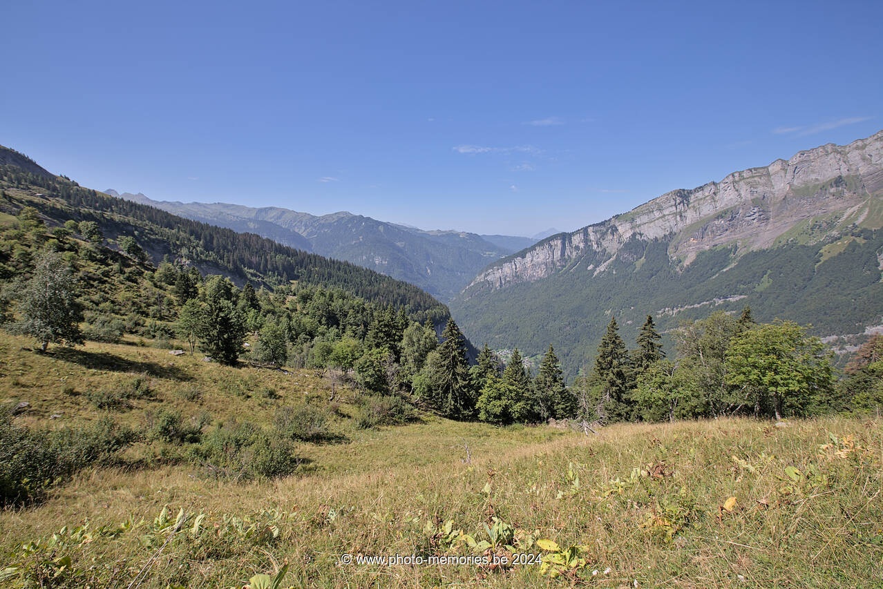 2023-08-20-0118.jpg